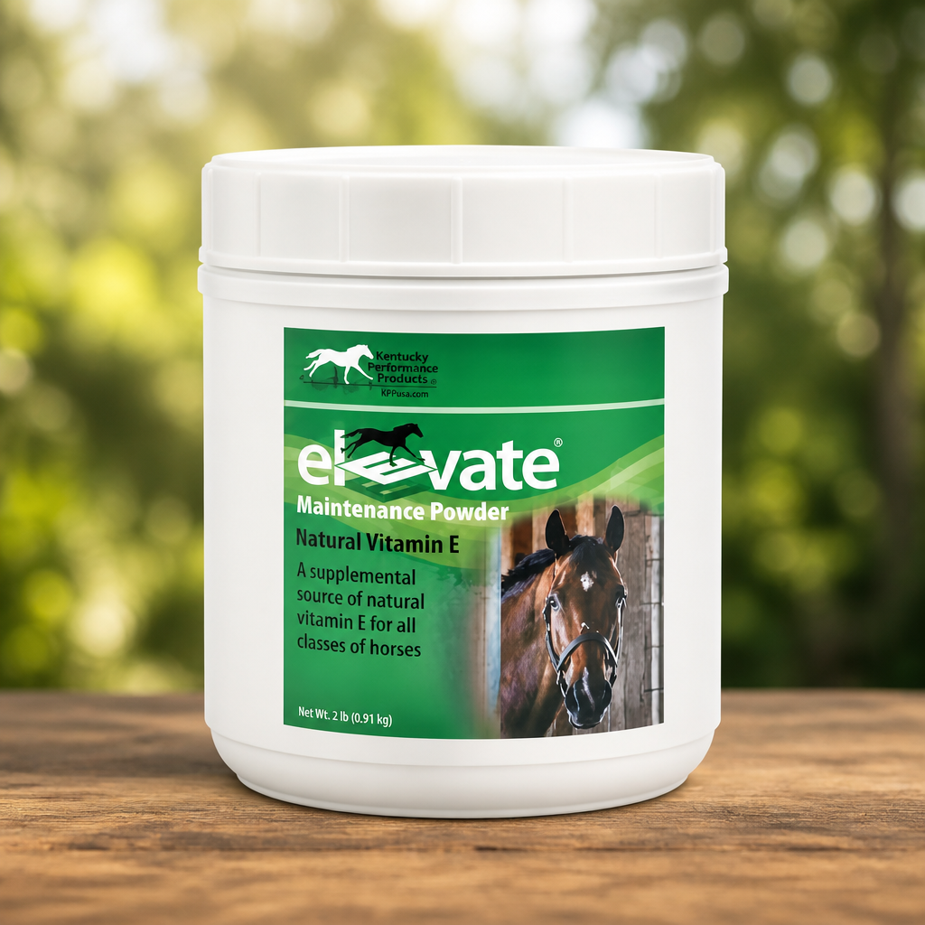 KENTUCKY PERFORMANCE PROD 044097 Elevate Maintenance Powder Supplement for Horses, 2 lb | Natural D-Alpha Tocopherol, 1, 000 Iu per 7 G Scoop, 65, 000 Iu and Lb, 2 Lb Jar
