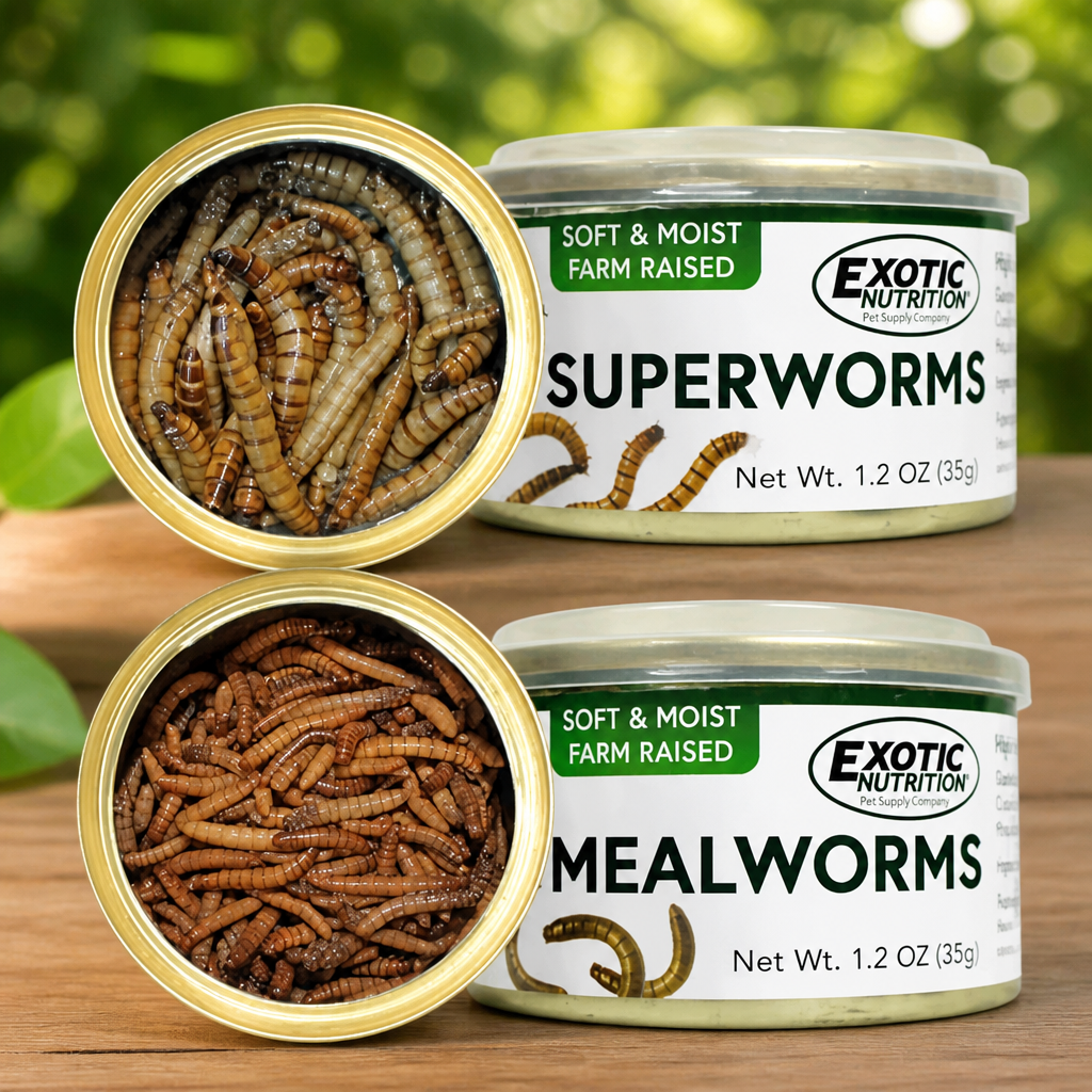 Canned Mealworms & Superworms - Healthy High Protein Insect Treat for Hedgehogs, Sugar Gliders, Reptiles, Wild Birds, Chickens, Lizards, Bearded Dragons, Skunks, Opossums, Fish, Amphibians, Turtles